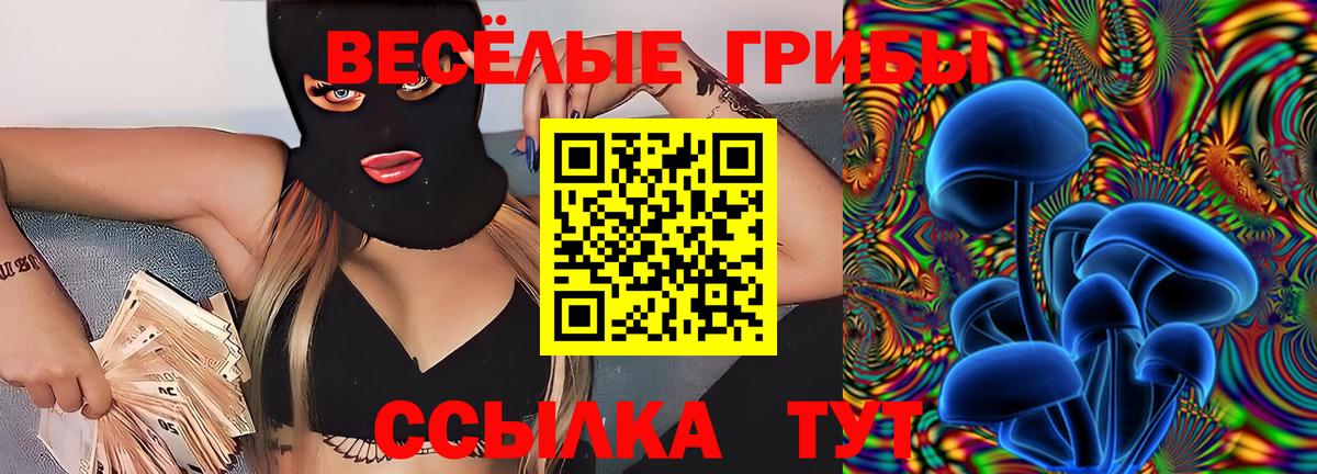 Спасск-Дальний  Псилоцибиновые грибы мухоморы  Вход с VPN 